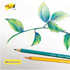 Picture of i-Paint ดินสอสีลบได้ สีไม้ลบได้ ไอเพ้นท์ IP-PC 12สี jumbo