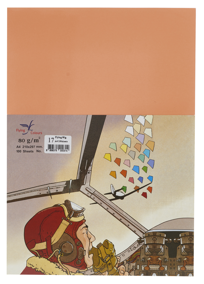 Picture of กระดาษสีถ่ายเอกสารฟลายอิ้ง (Flying) Colours No.17 สีแซลมอน (100 แผ่น)
